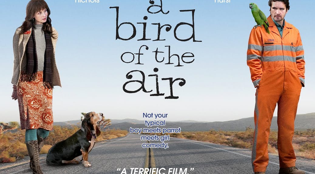 Movie poster of "A Bird of the Air"