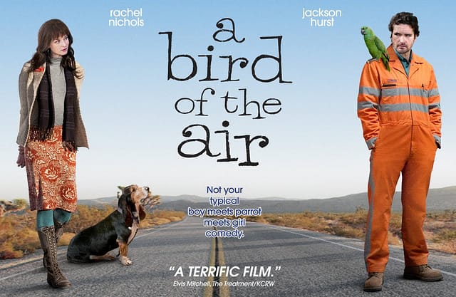 Movie poster of "A Bird of the Air"